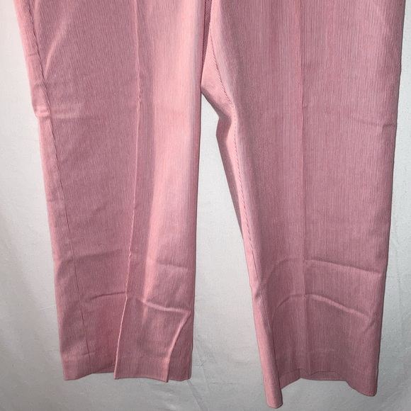 Christopher & Banks Striped Pants - Picture 2 of 8
